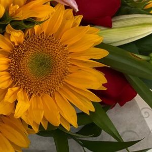 Meet your Posher, Mayra